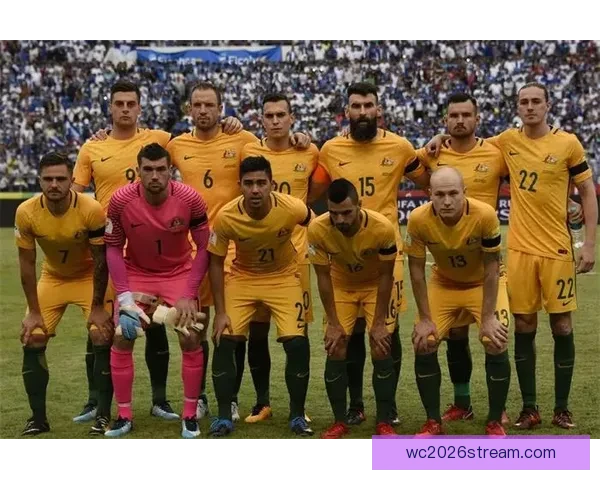 世界杯赛场精彩预测与体育竞猜策略全面解析